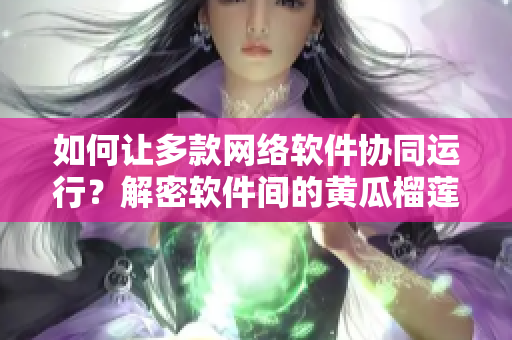 如何讓多款網(wǎng)絡(luò)軟件協(xié)同運行？解密軟件間的黃瓜榴蓮