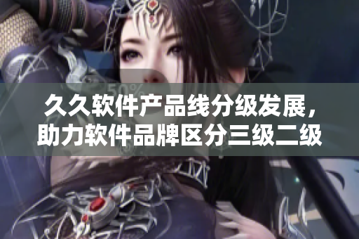 久久軟件產品線分級發展，助力軟件品牌區分三級二級一級