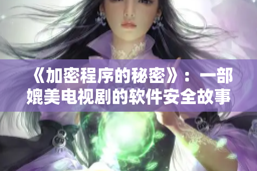 《加密程序的秘密》：一部媲美電視劇的軟件安全故事