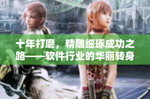 十年打磨，精雕細琢成功之路——軟件行業的華麗轉身