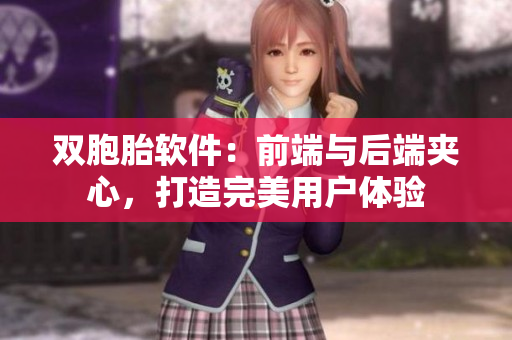 雙胞胎軟件：前端與后端夾心，打造完美用戶體驗(yàn)