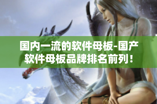 國內一流的軟件母板-國產軟件母板品牌排名前列！