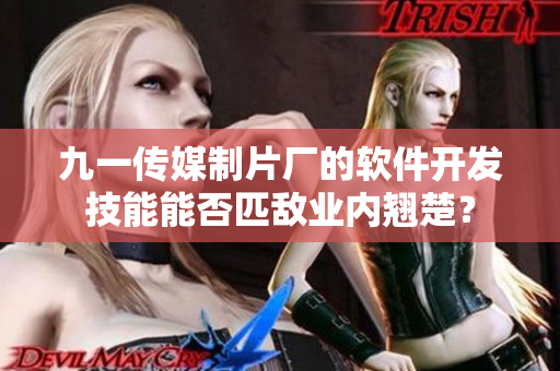 九一傳媒制片廠的軟件開發技能能否匹敵業內翹楚？