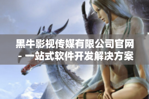 黑牛影視傳媒有限公司官網 - 一站式軟件開發解決方案！