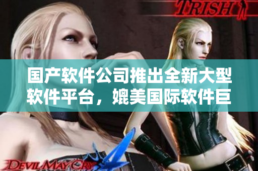 國產軟件公司推出全新大型軟件平臺，媲美國際軟件巨頭