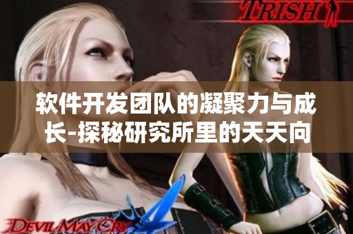 軟件開發(fā)團(tuán)隊(duì)的凝聚力與成長-探秘研究所里的天天向上精神