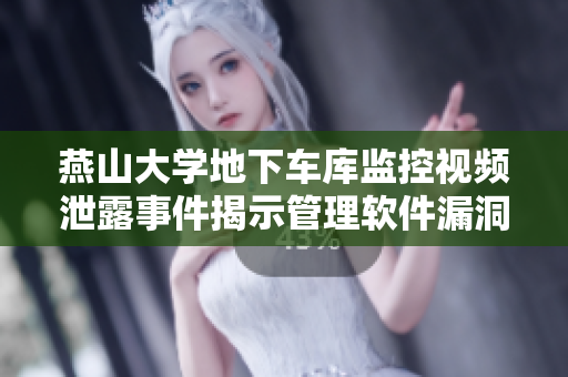 燕山大學地下車庫監(jiān)控視頻泄露事件揭示管理軟件漏洞