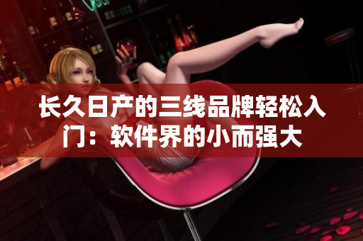 長久日產的三線品牌輕松入門：軟件界的小而強大