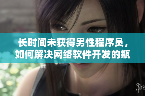 長(zhǎng)時(shí)間未獲得男性程序員，如何解決網(wǎng)絡(luò)軟件開發(fā)的瓶頸？