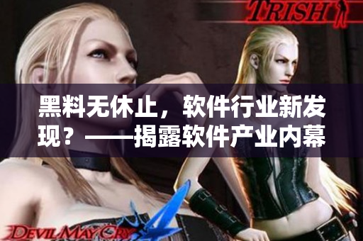 黑料無休止，軟件行業新發現？——揭露軟件產業內幕的黑料報道