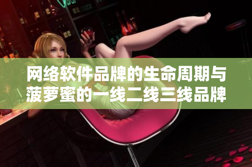 網絡軟件品牌的生命周期與菠蘿蜜的一線二線三線品牌分析