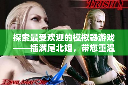 探索最受歡迎的模擬器游戲——插滿尾北妲，帶您重溫經典電競情懷