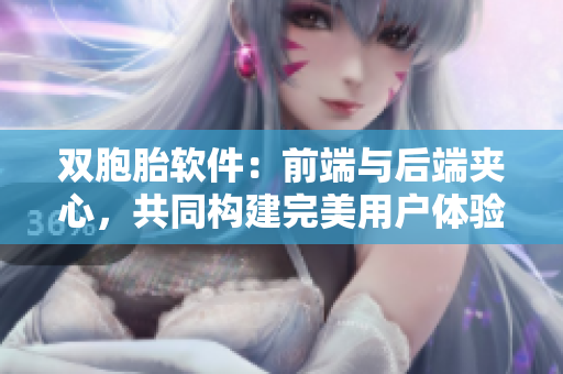 雙胞胎軟件：前端與后端夾心，共同構建完美用戶體驗