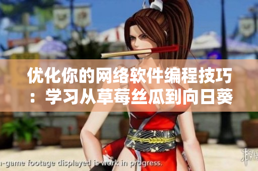 優(yōu)化你的網(wǎng)絡(luò)軟件編程技巧：學(xué)習(xí)從草莓絲瓜到向日葵秋葵茄子的全流程