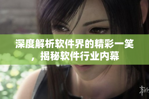 深度解析軟件界的精彩一笑，揭秘軟件行業內幕