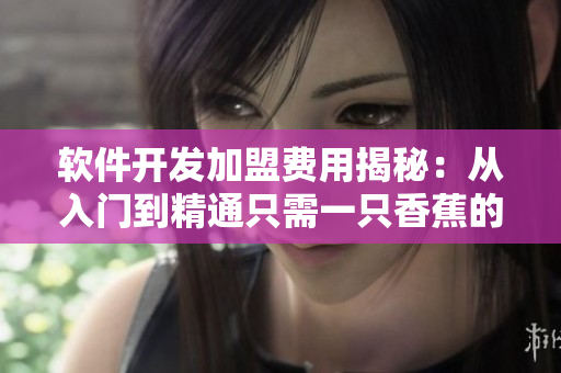 軟件開發(fā)加盟費(fèi)用揭秘：從入門到精通只需一只香蕉的價格