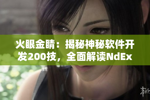 火眼金睛：揭秘神秘軟件開發200技，全面解讀NdEx軟件安全技巧。