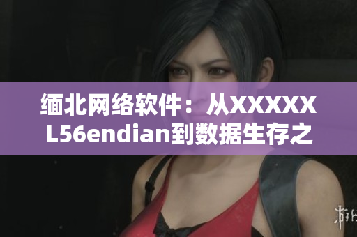 緬北網絡軟件：從XXXXXL56endian到數據生存之道