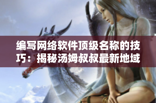 編寫網(wǎng)絡(luò)軟件頂級(jí)名稱的技巧：揭秘湯姆叔叔最新地域網(wǎng)名的秘訣
