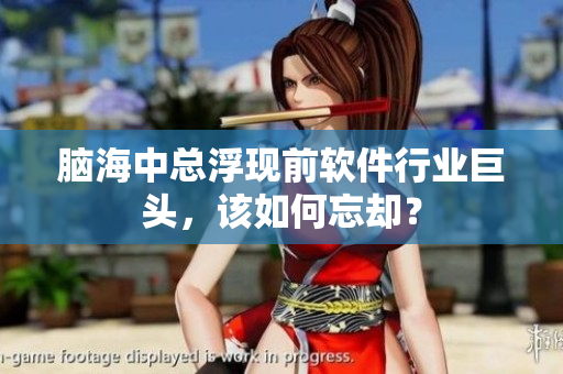 腦海中總浮現(xiàn)前軟件行業(yè)巨頭，該如何忘卻？
