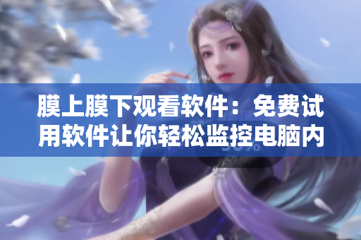 膜上膜下觀看軟件：免費試用軟件讓你輕松監(jiān)控電腦內外