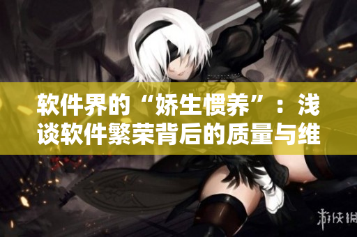 軟件界的“嬌生慣養”：淺談軟件繁榮背后的質量與維護問題