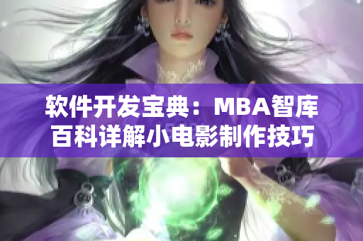 軟件開發寶典：MBA智庫百科詳解小電影制作技巧