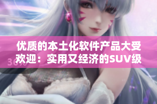 優質的本土化軟件產品大受歡迎：實用又經濟的SUV級別軟件產品