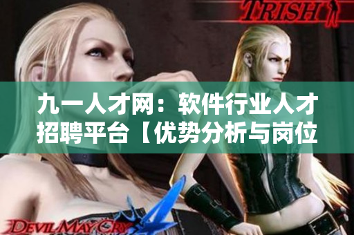 九一人才網：軟件行業人才招聘平臺【優勢分析與崗位需求】