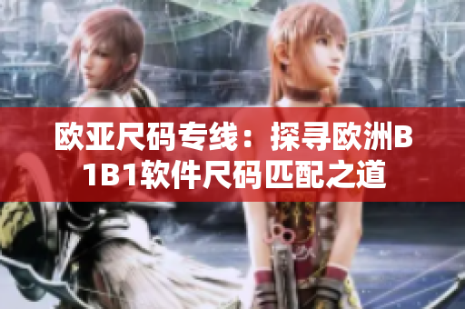 歐亞尺碼專線：探尋歐洲B1B1軟件尺碼匹配之道