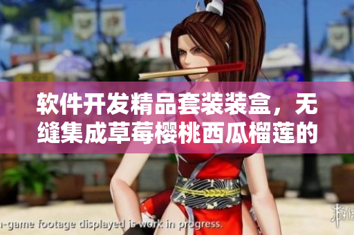 軟件開發(fā)精品套裝裝盒，無縫集成草莓櫻桃西瓜榴蓮的靈感。