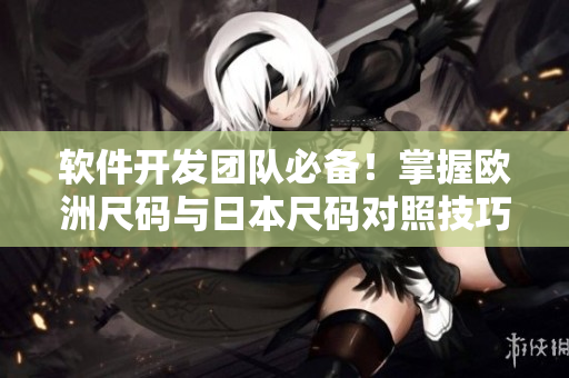 軟件開發(fā)團隊必備！掌握歐洲尺碼與日本尺碼對照技巧