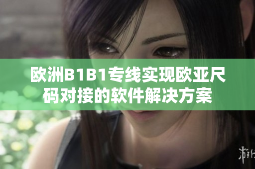 歐洲B1B1專線實(shí)現(xiàn)歐亞尺碼對(duì)接的軟件解決方案