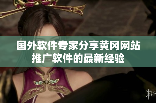 國外軟件專家分享黃岡網站推廣軟件的最新經驗