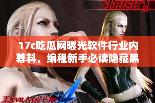 17c吃瓜網(wǎng)曝光軟件行業(yè)內(nèi)幕料，編程新手必讀隱藏黑料