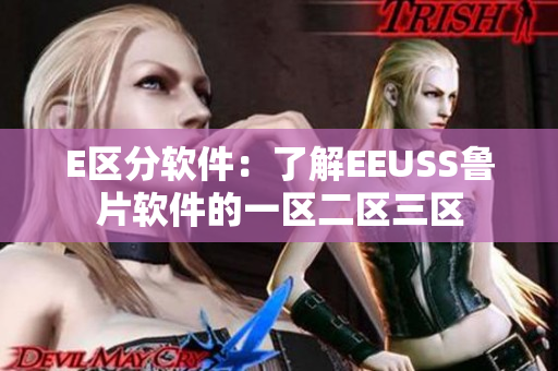 E區(qū)分軟件：了解EEUSS魯片軟件的一區(qū)二區(qū)三區(qū)
