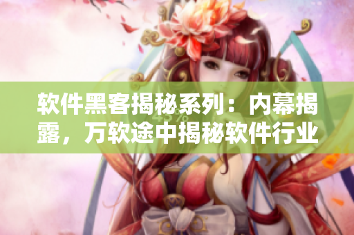 軟件黑客揭秘系列：內幕揭露，萬軟途中揭秘軟件行業黑幕，揭竿而起