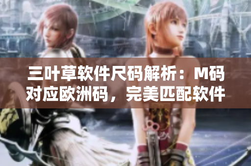 三葉草軟件尺碼解析：M碼對(duì)應(yīng)歐洲碼，完美匹配軟件開(kāi)發(fā)者的穿著需求