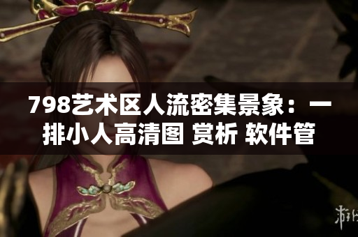 798藝術區人流密集景象：一排小人高清圖 賞析 軟件管理者 