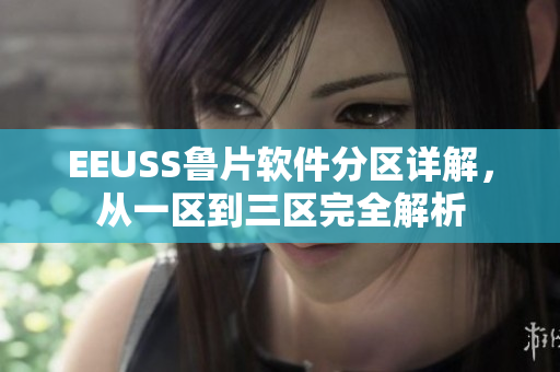EEUSS魯片軟件分區(qū)詳解，從一區(qū)到三區(qū)完全解析