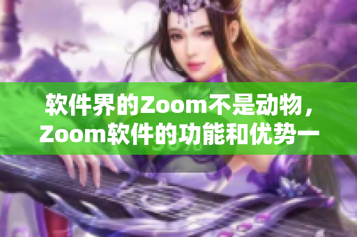 軟件界的Zoom不是動物，Zoom軟件的功能和優勢一覽