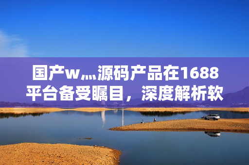 國產(chǎn)w灬源碼產(chǎn)品在1688平臺備受矚目，深度解析軟件開發(fā)利器