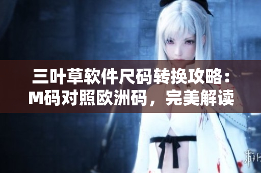 三葉草軟件尺碼轉(zhuǎn)換攻略：M碼對(duì)照歐洲碼，完美解讀軟件尺寸匹配方式