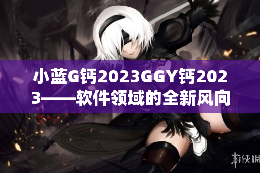 小藍G鈣2023GGY鈣2023——軟件領域的全新風向標