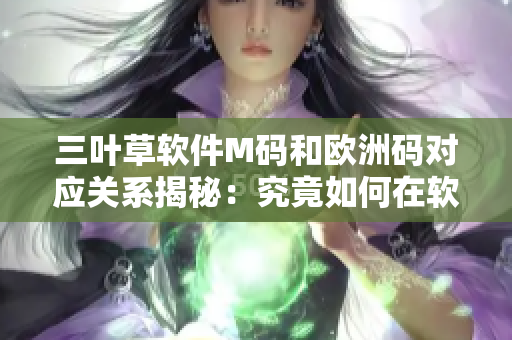 三葉草軟件M碼和歐洲碼對應關系揭秘：究竟如何在軟件界準確識別尺碼？