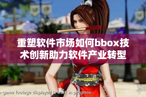重塑軟件市場如何bbox技術創新助力軟件產業轉型