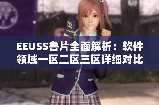 EEUSS魯片全面解析：軟件領域一區二區三區詳細對比