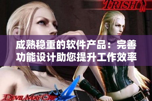 成熟穩重的軟件產品：完善功能設計助您提升工作效率