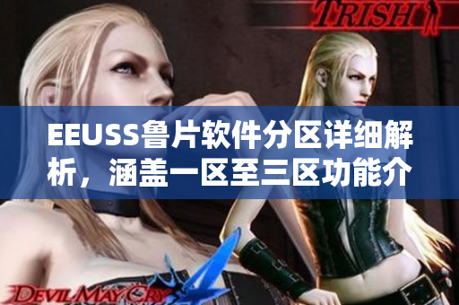 EEUSS魯片軟件分區(qū)詳細解析，涵蓋一區(qū)至三區(qū)功能介紹