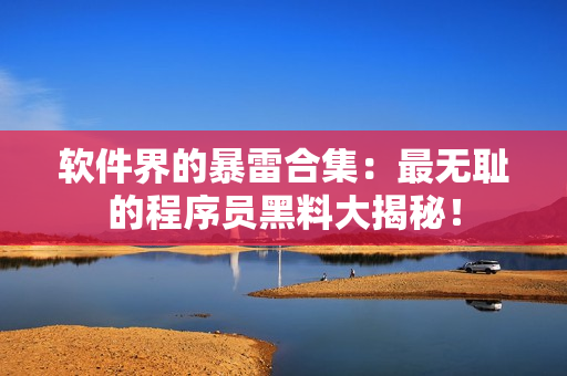 軟件界的暴雷合集：最無恥的程序員黑料大揭秘！